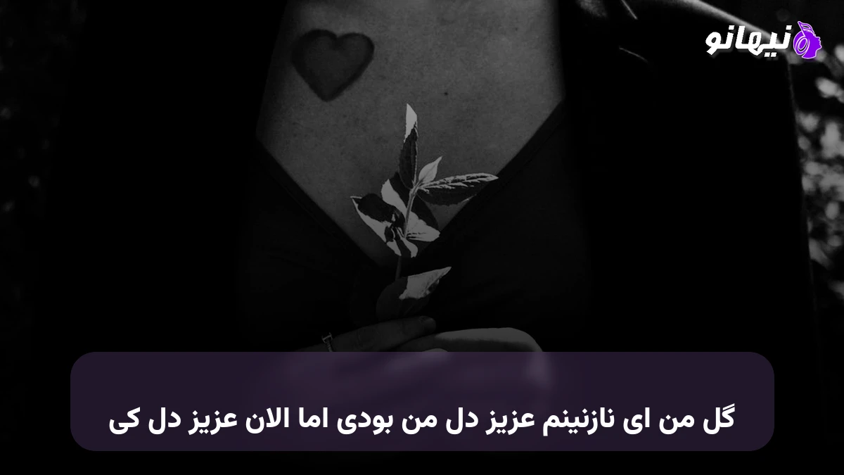 دانلود آهنگ گل من ای نازنینم عزیز دل من بودی اما الان عزیز دل کی شاهان